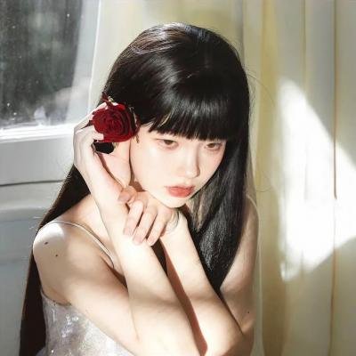 我的女友们封面